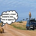 ���� ����, ������, 41 ��� - ��������� 13 ������ 2014 � ������ ���� ����������