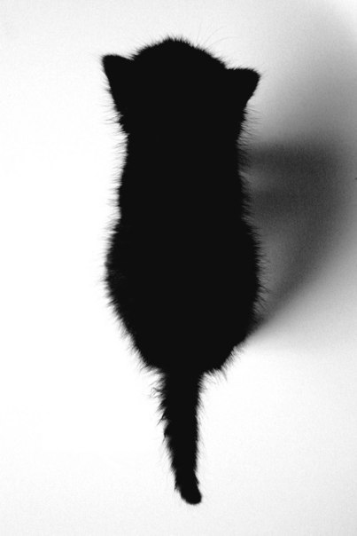   : <a href=