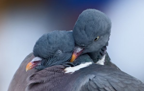 Цените людей, которые приходят в те моменты, когда плохо не им, а вам.