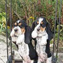 ���� ������, ������, 62 ���� - ��������� 18 ������� 2014 � ������ ���� ����������