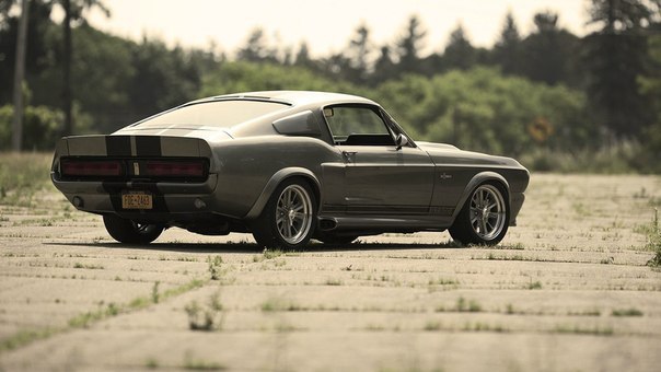 Ford Mustang GT500 Shelby Eleanor    60-. ,      ... - 4