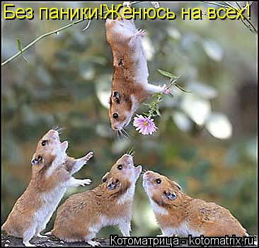    © - 23  2014  18:23