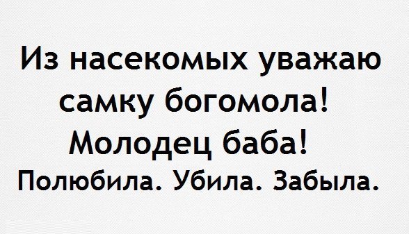 Успешные мамы - счастливые дети! - 26 ноября 2014 в 20:02