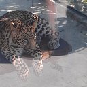 ��������!!!!) �� ������� ���� ����������