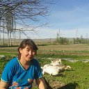 ���� ����, ������, 54 ���� - ��������� 19 ������ 2014 � ������ ���� ����������