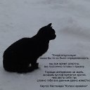  , --, 50  -  11  2014    