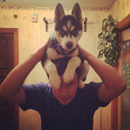 ���� ������ ������, ������, 33 ���� - ��������� 26 ������ 2014