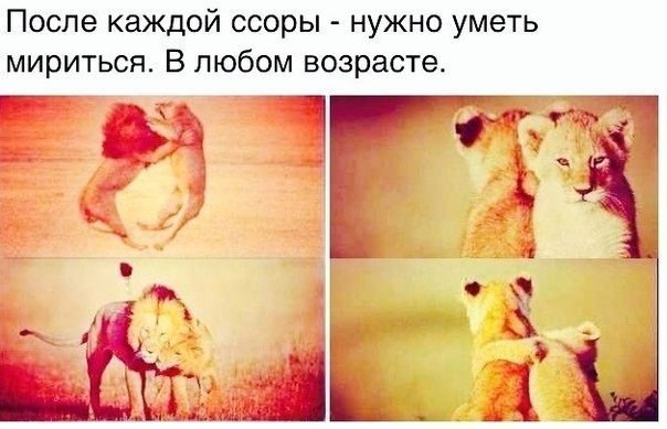  - 6  2014  16:05