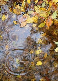 ...чтобы эта осень изменила все к лучшему