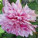 ���� �����, �����������, 66 ��� - ��������� 22 �������� 2014 � ������ �������