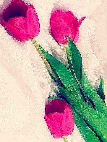    - 9  2014  03:15 - 5