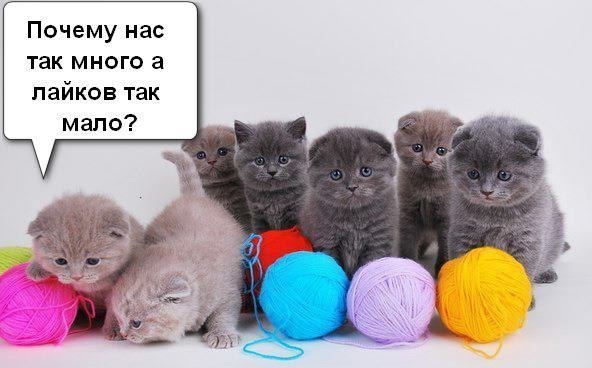 Art & Fun - 27  2014  20:30