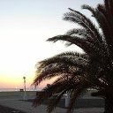 ���� ������, ����, 51 ��� - ��������� 6 �������� 2014 � ������ ���� ����������