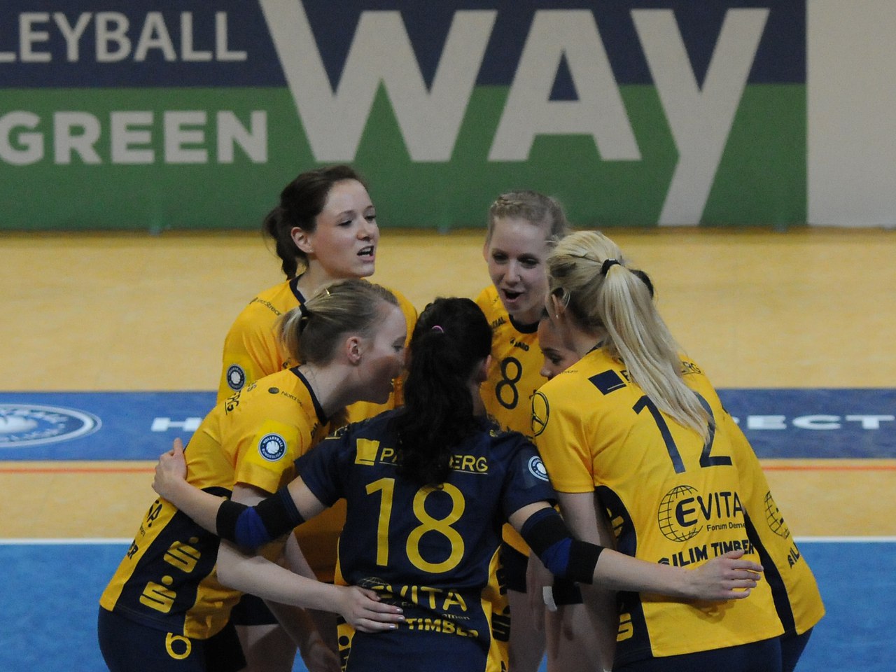 2015 CEV Volleyball Challenge Cup - Women SCHWERINER SC vs VC OUDEGEM - 8