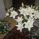 ���� �����, ���������, 53 ���� - ��������� 27 �������� 2014 � ������ ���� ����������