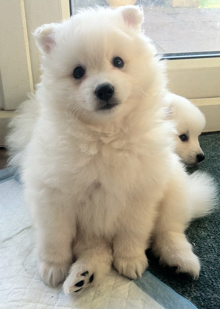 tumblr - 26  2014  10:27
