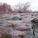 ���� �����, ����-����������� - ��������� 28 ������� 2014 � ������ ������ ��������