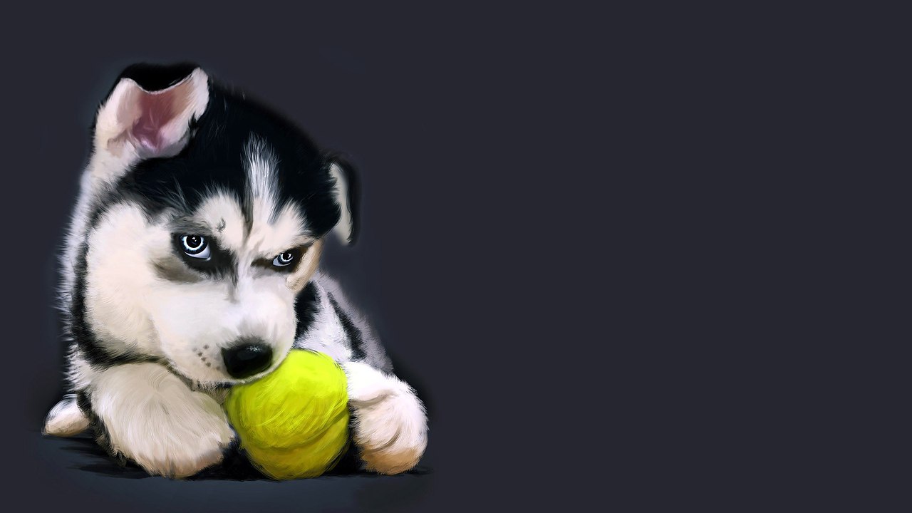     ,      ! ^^