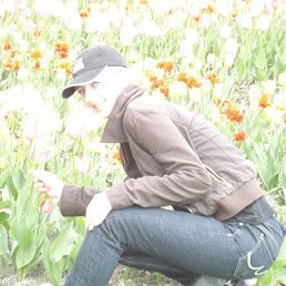 ���������, ������