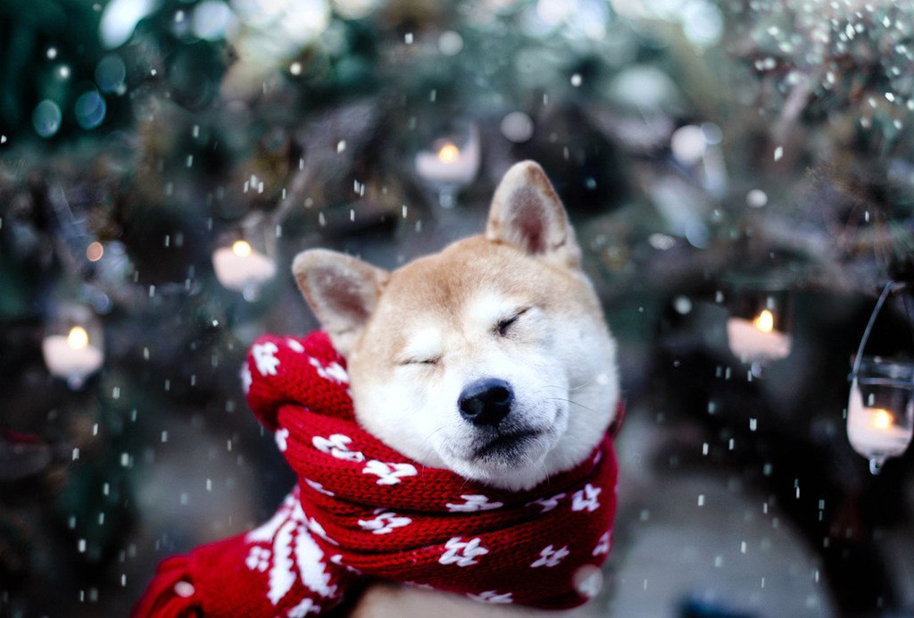       (Jessica Trinh).     ... - 5