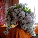 ���� ����, �������, 61 ��� - ��������� 20 ������� 2014 � ������ ������ ��������