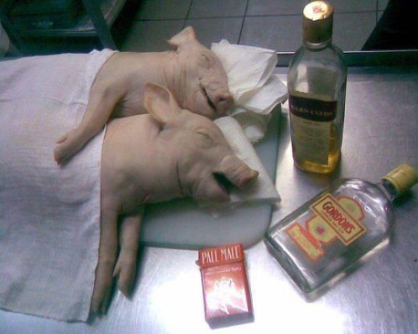 Самая страшная фраза в соцсетях после гулянки: