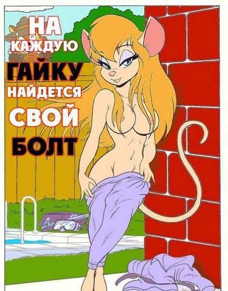 ☆ ☆ - 25  2014  11:06