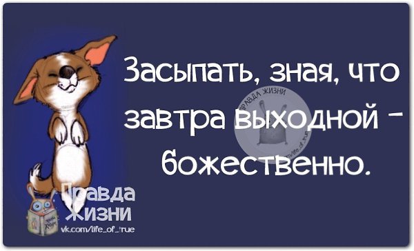 ������ ����� - 6 �������� 2014 � 23:52