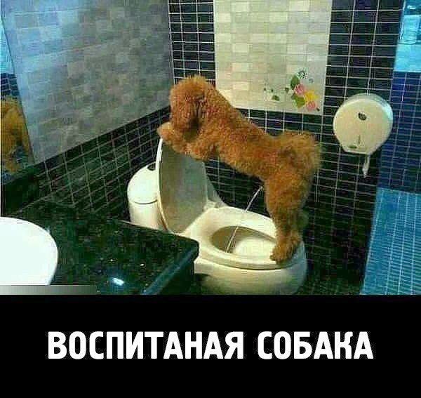 ��������� � ������,��� ���� ��������:<a href=