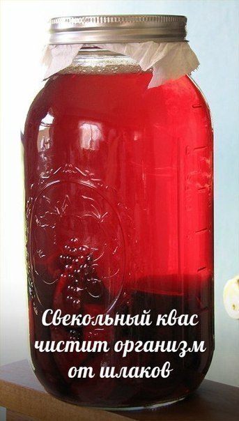 Свекольный квас.как хороший дворник – чистит организм от шлаков. Почки освобождаются от камней, ...