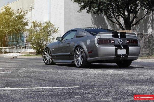 Ford Ronaele Mustang 550R - 8