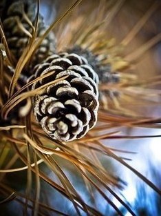 Всё нужно пережить на этом свете, Всё нужно испытать и оценить… Несчастье, боль, измену, горе, ... - 4