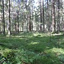 ���� �������, �������, 55 ��� - ��������� 9 �������� 2014 � ������ ����, ��� � ����.�