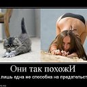 ���� ������, ����, 45 ��� - ��������� 1 �������� 2014 � ������ ���� ����������