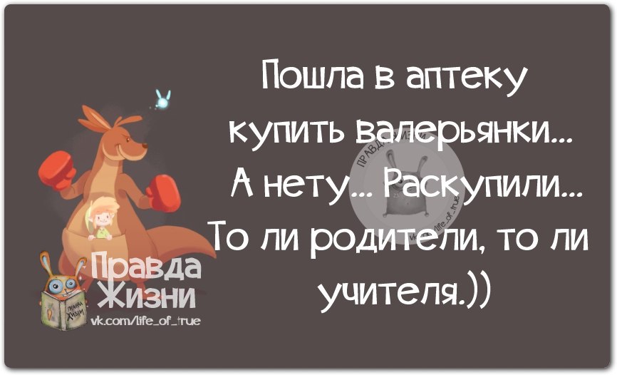 Правда жизни литературе. Правда жизни цитаты. Цитаты про уроки с ребенком. Смешные высказывания про уроки. Шутки про валерьянку.