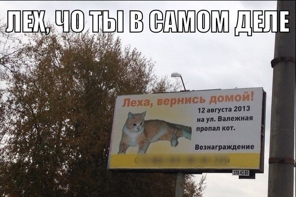     - 17  2014  20:20