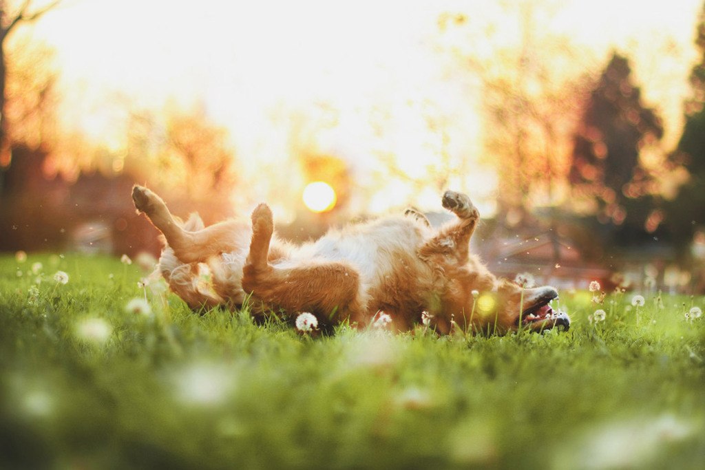       (Jessica Trinh).     ... - 4