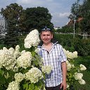  !, , 28  -  31  2014   . .