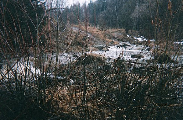  1986 ! - 54