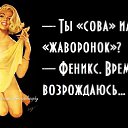 ���� ������, ������-��-����, 47 ��� - ��������� 11 ������� 2014 � ������ ������ ��������