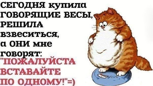   - 19  2014  11:34