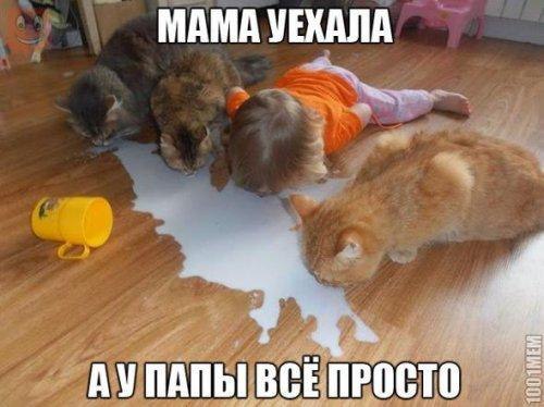 �������������� �� ���: <a href=
