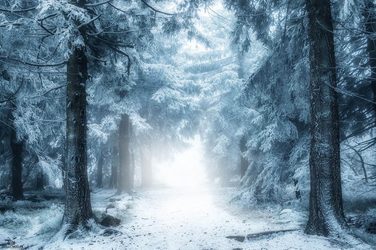 Schwarzwald, Germany