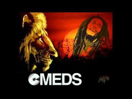 Bob Marley & The Wailers  Is This Love (Mt. Eden Dubstep Remix)