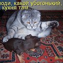 ���� �������, ������, 59 ��� - ��������� 27 ������� 2014 � ������ ������ ��������