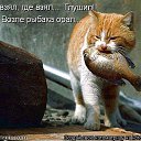 ���� �������, ���������, 57 ��� - ��������� 26 ������ 2014 � ������ ������ ��������
