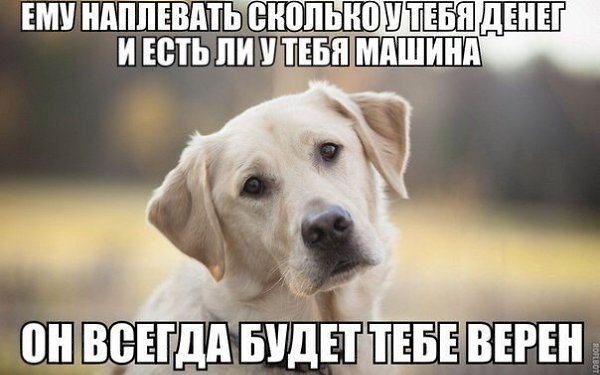 ��������!