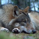 ���� Kolya, ����, 52 ���� - ��������� 30 ������� 2014 � ������ ���� ����������