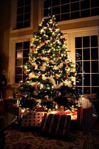  -     - 22 ,       .    ...