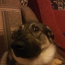 ���� �������, ������, 46 ��� - ��������� 10 �������� 2014 � ������ ���� ����������